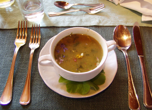 Wildkräutersuppe